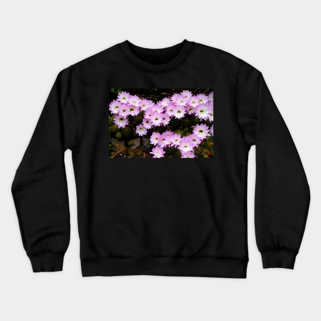 Brightness in the Rain Crewneck Sweatshirt by Carole-Anne